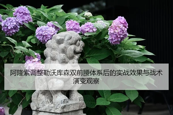 阿隆索调整勒沃库森双前腰体系后的实战效果与战术演变观察